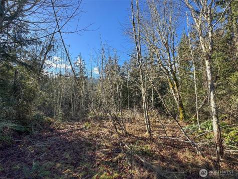 0 E Angeles Ridge Road Port Angeles WA 98362