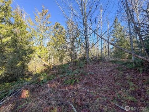 0 E Angeles Ridge Road Port Angeles WA 98362