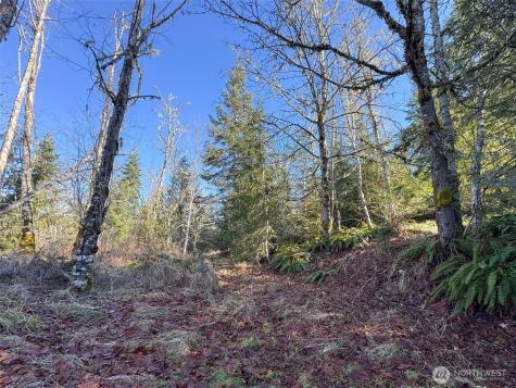 0 E Angeles Ridge Road Port Angeles WA 98362
