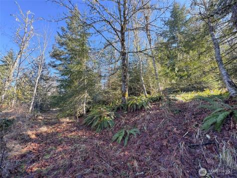 0 E Angeles Ridge Road Port Angeles WA 98362