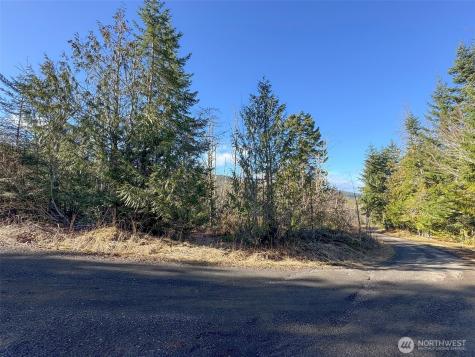 0 E Angeles Ridge Road Port Angeles WA 98362