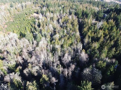 0 E Angeles Ridge Road Port Angeles WA 98362