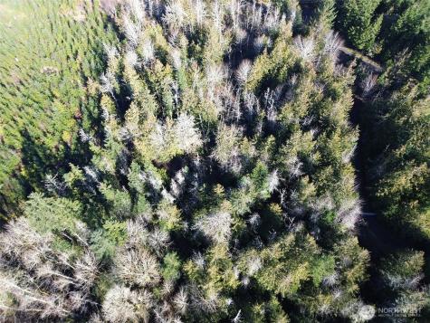 0 E Angeles Ridge Road Port Angeles WA 98362