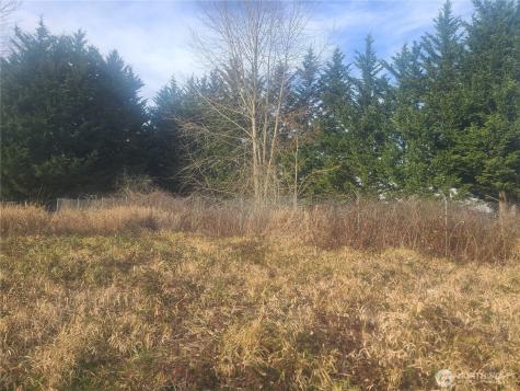 3826 E N Street Tacoma WA 98404