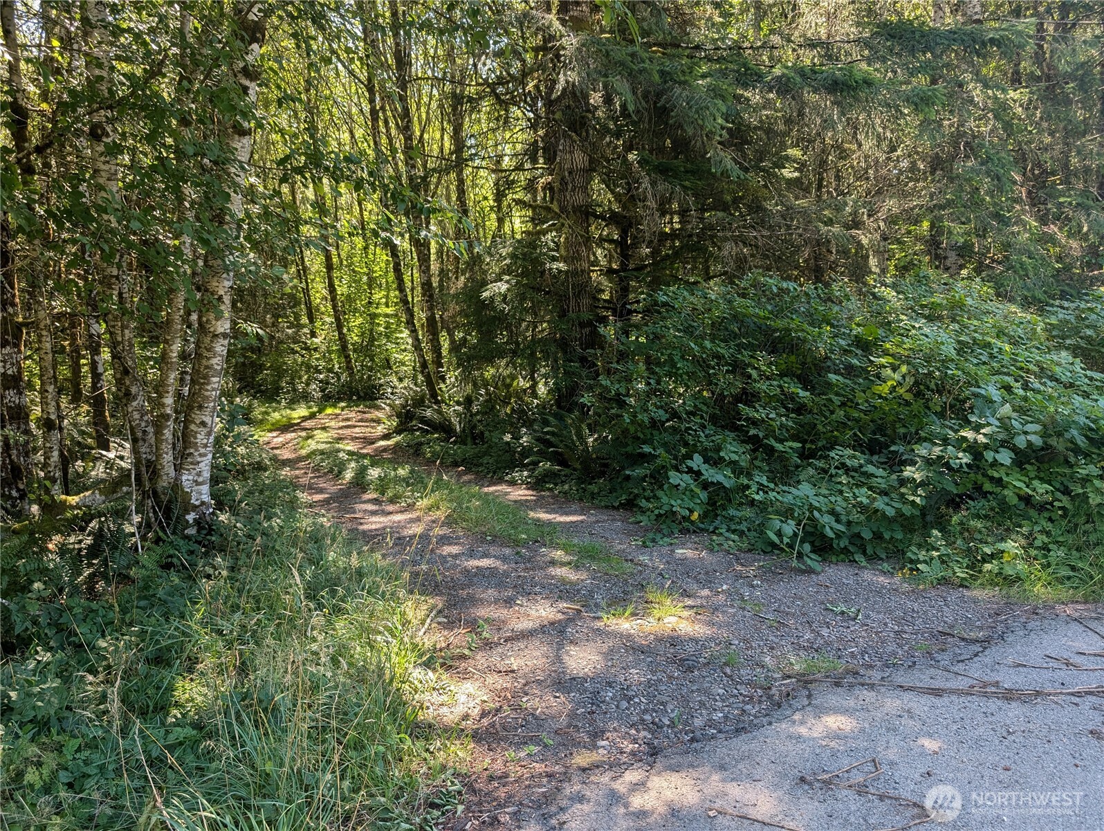 999 Highway 101 Highway Beaver WA 98363