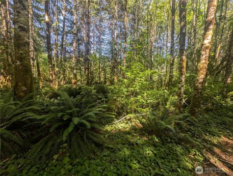 999 Highway 101 Highway Beaver WA 98363
