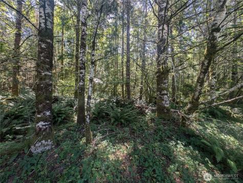 999 Highway 101 Highway Beaver WA 98363