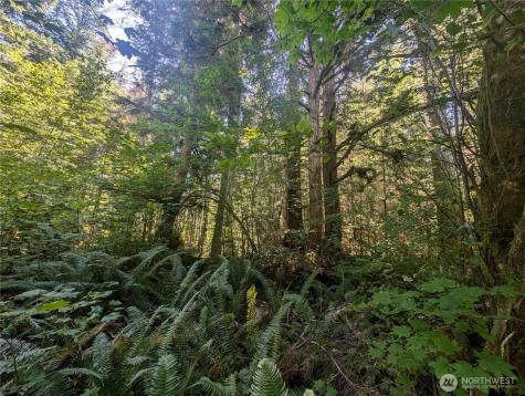 999 Highway 101 Highway Beaver WA 98363