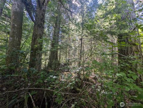 999 Highway 101 Highway Beaver WA 98363