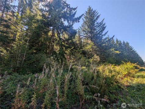 999 Highway 101 Highway Beaver WA 98363