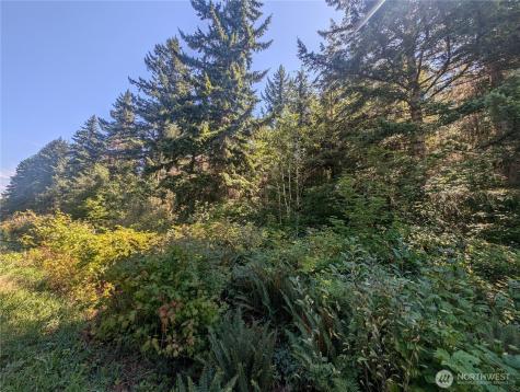 999 Highway 101 Highway Beaver WA 98363