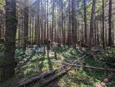 999 Highway 101 Highway Beaver WA 98363