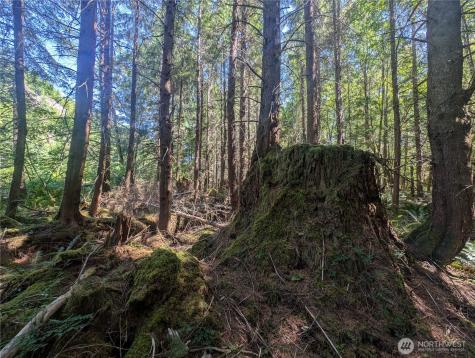 999 Highway 101 Highway Beaver WA 98363