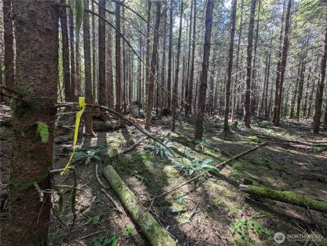 999 Highway 101 Highway Beaver WA 98363