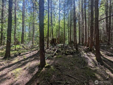 999 Highway 101 Highway Beaver WA 98363
