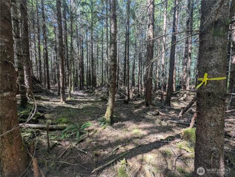999 Highway 101 Highway Beaver WA 98363