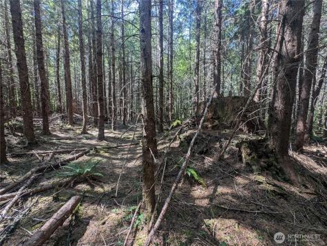 999 Highway 101 Highway Beaver WA 98363