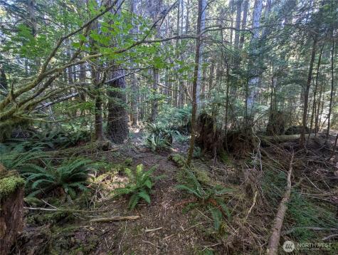 999 Highway 101 Highway Beaver WA 98363