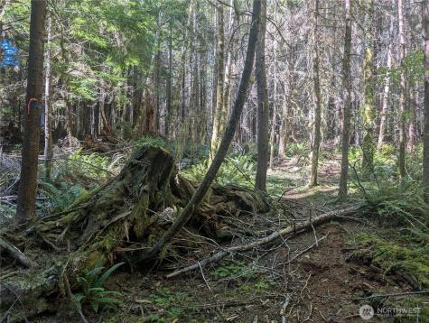 999 Highway 101 Highway Beaver WA 98363