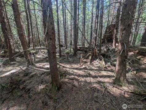 999 Highway 101 Highway Beaver WA 98363