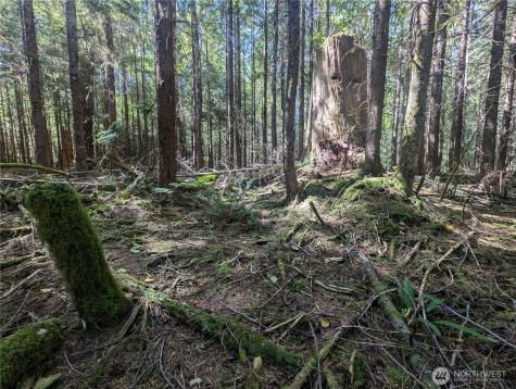 999 Highway 101 Highway Beaver WA 98363