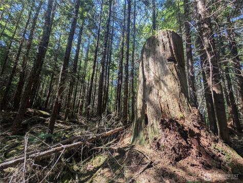 999 Highway 101 Highway Beaver WA 98363