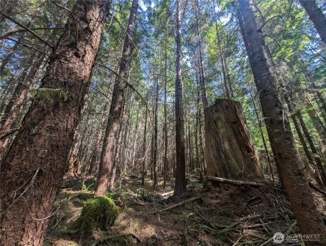 999 Highway 101 Highway Beaver WA 98363