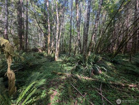 999 Highway 101 Highway Beaver WA 98363