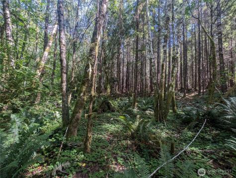 999 Highway 101 Highway Beaver WA 98363