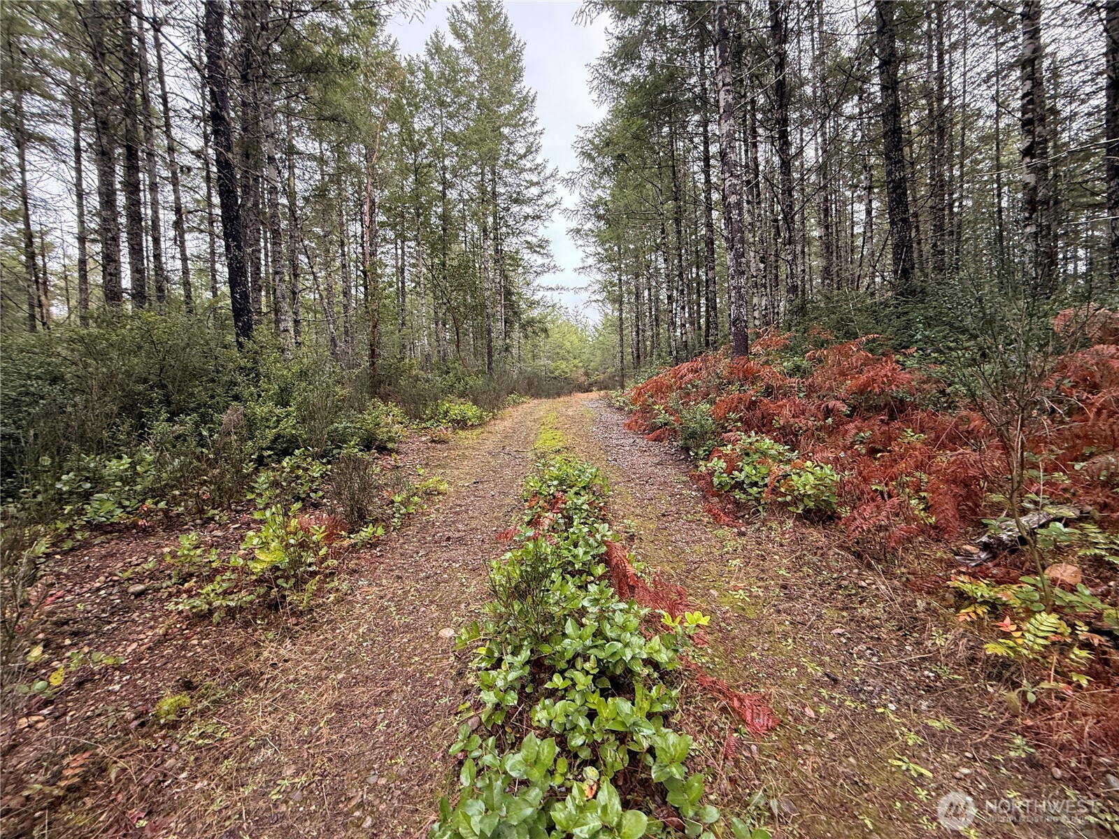 10 E Shetland Road Shelton WA 98584