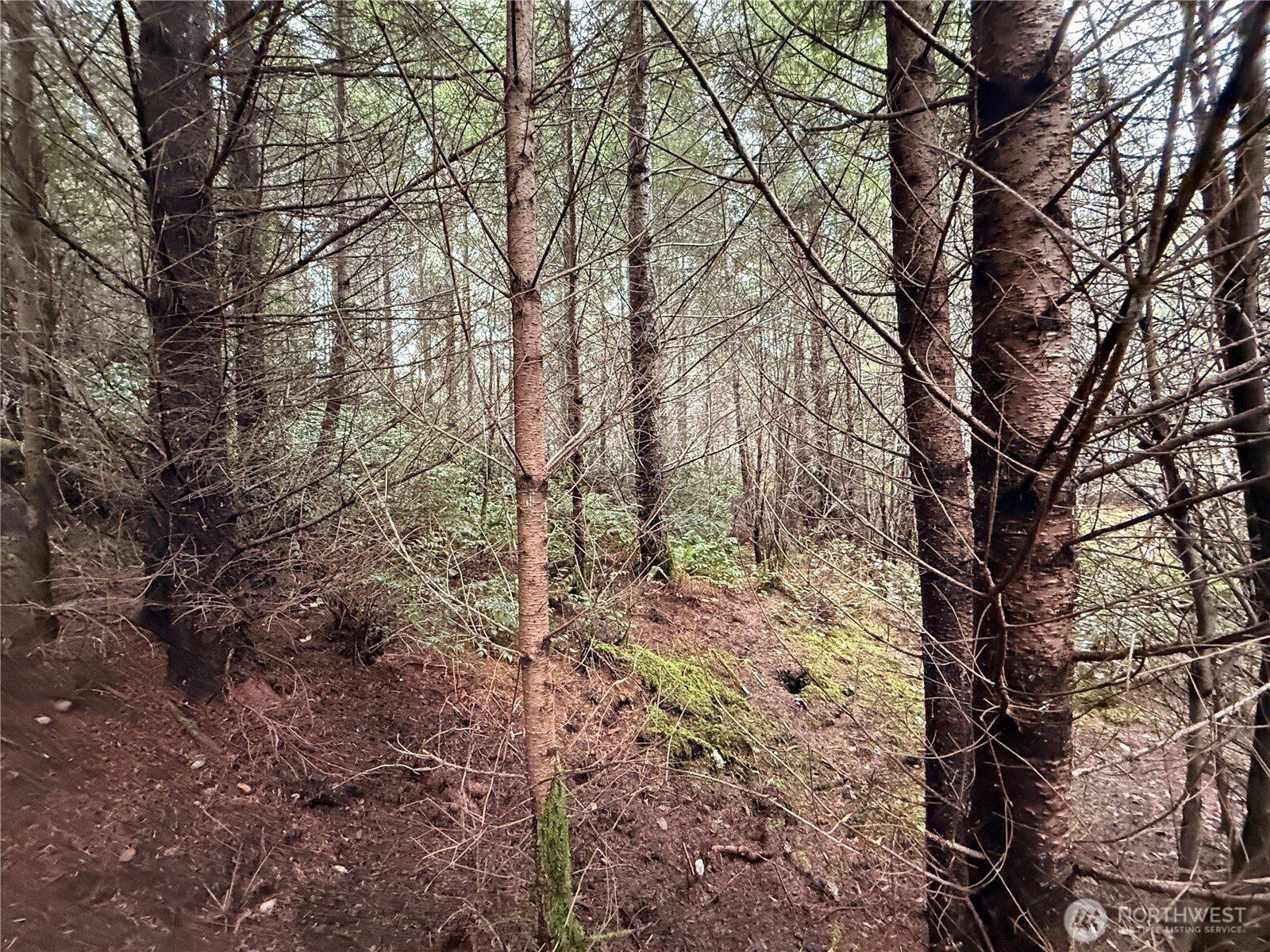 10 E Shetland Road Shelton WA 98584