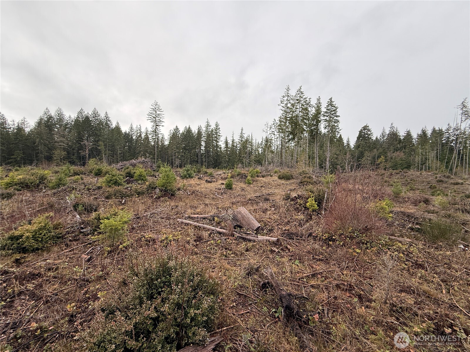 10 E Shetland Road Shelton WA 98584
