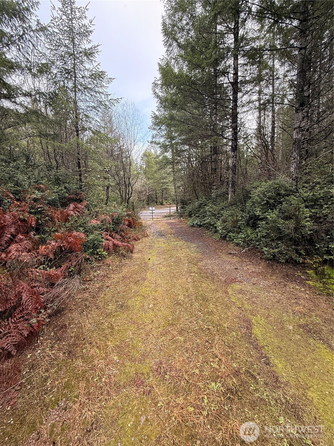 10 E Shetland Road Shelton WA 98584