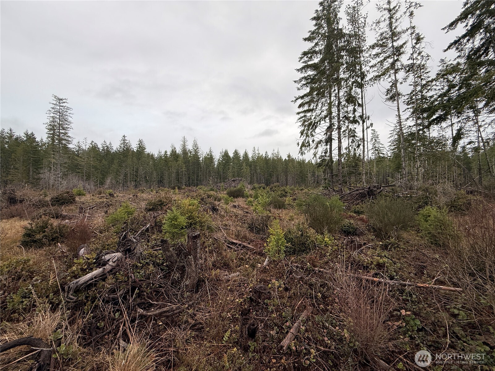 10 E Shetland Road Shelton WA 98584