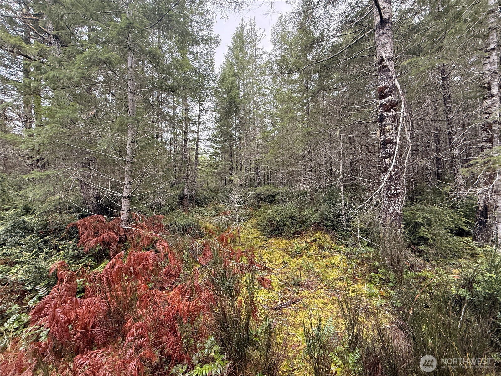 10 E Shetland Road Shelton WA 98584