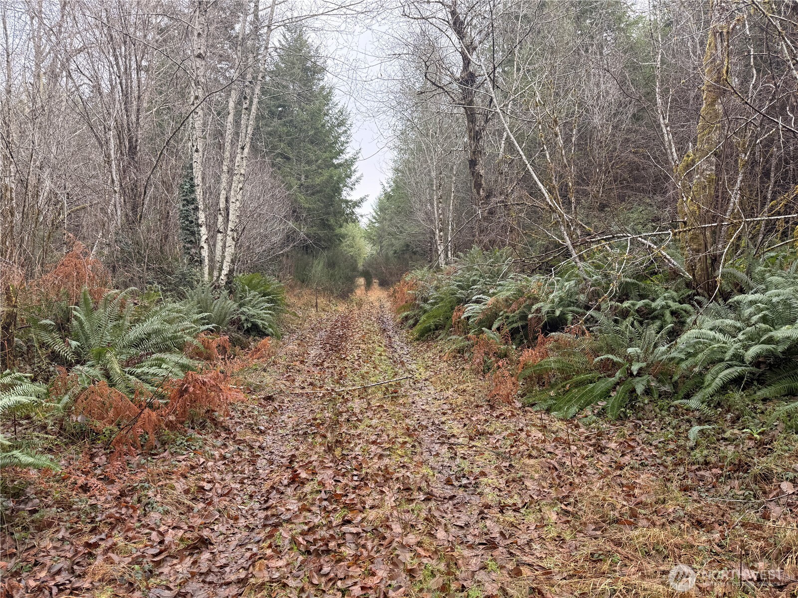 10 E Shetland Road Shelton WA 98584