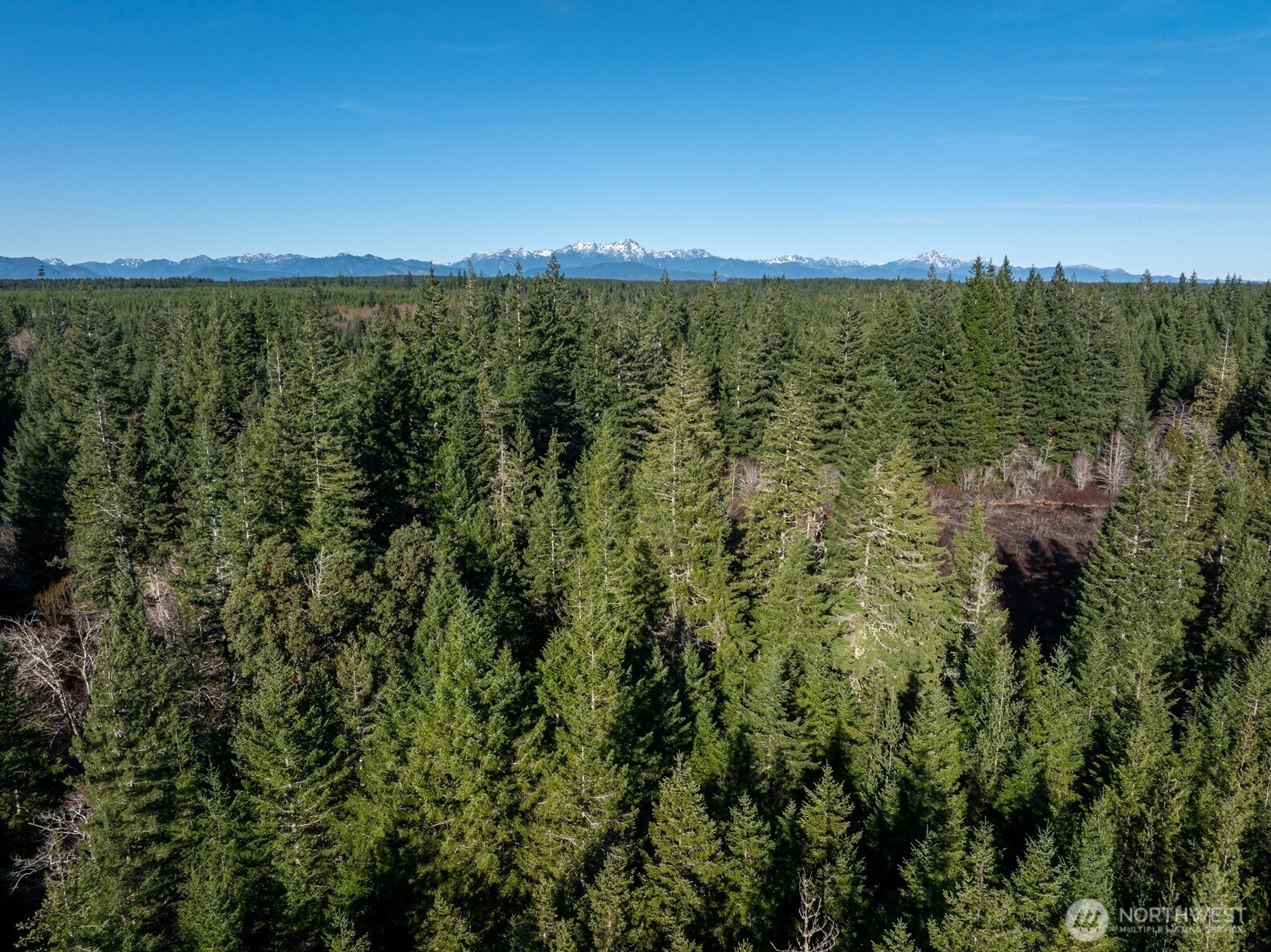 10 E Shetland Road Shelton WA 98584