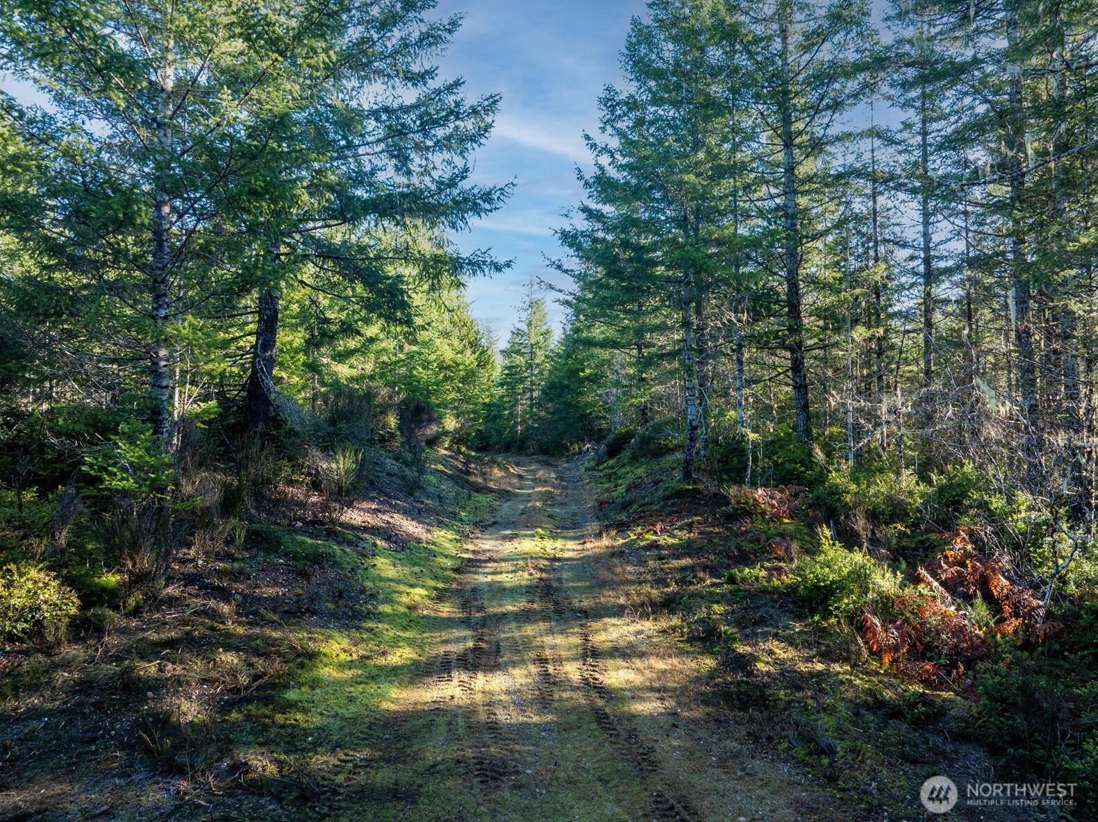 10 E Shetland Road Shelton WA 98584
