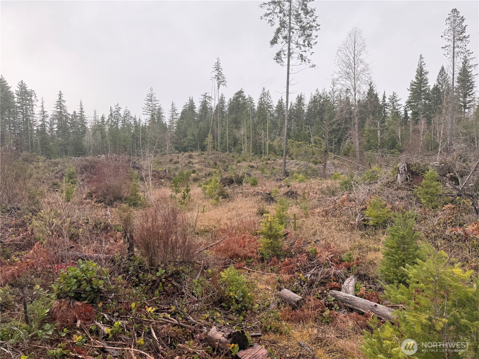 10 E Shetland Road Shelton WA 98584