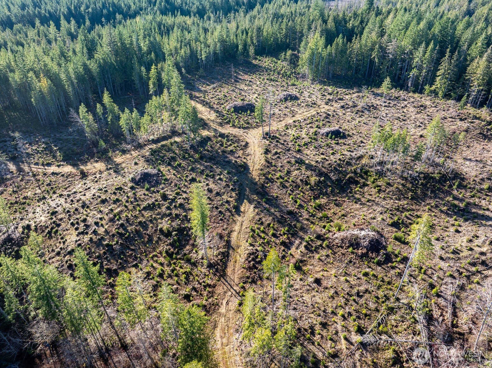10 E Shetland Road Shelton WA 98584