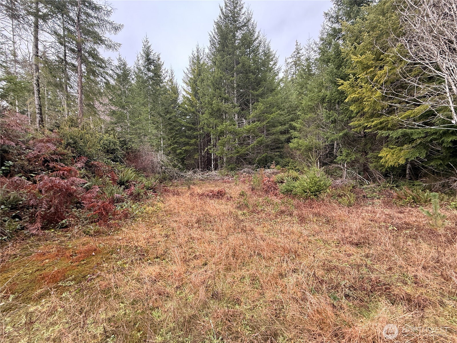 10 E Shetland Road Shelton WA 98584