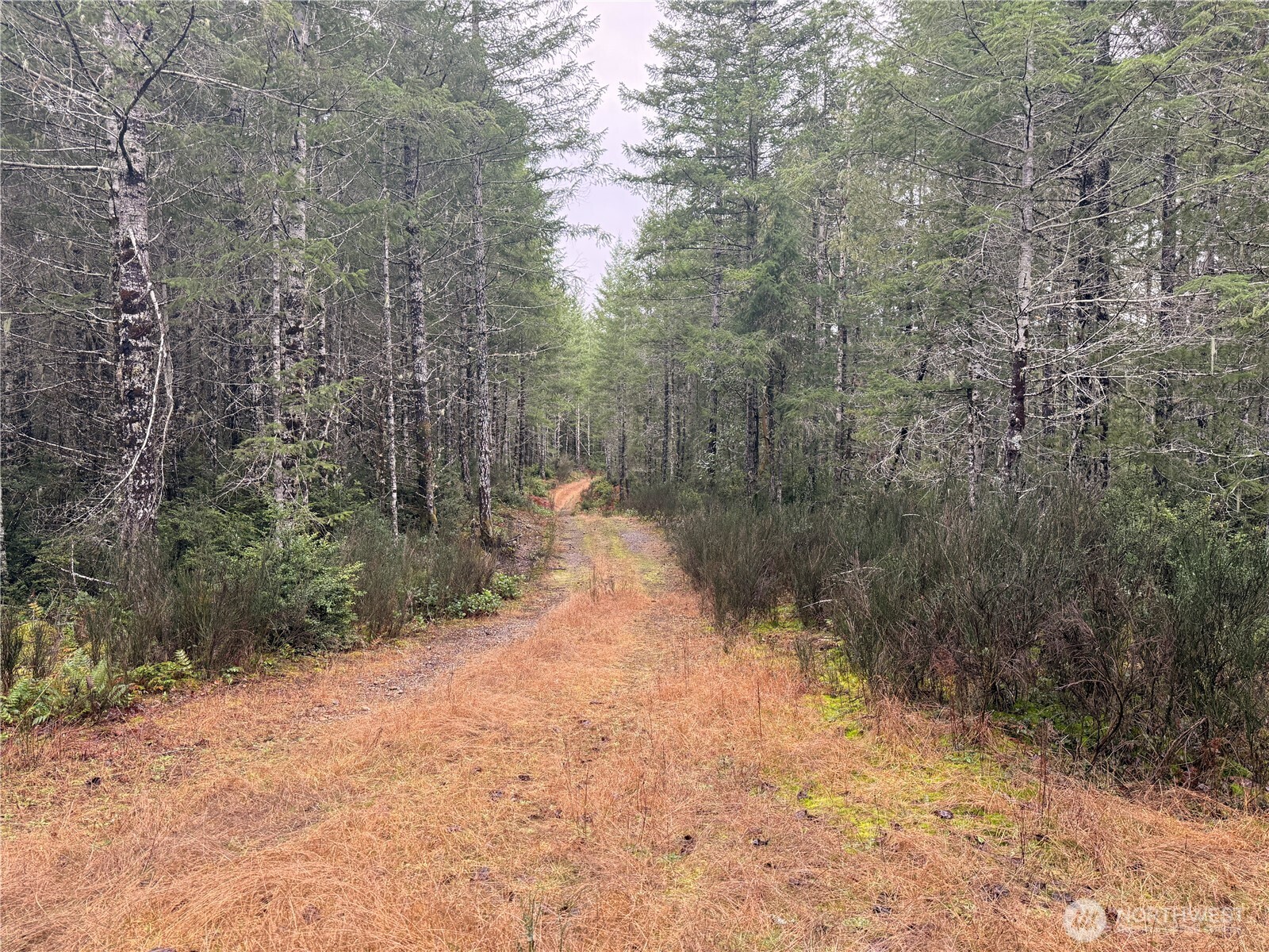 10 E Shetland Road Shelton WA 98584