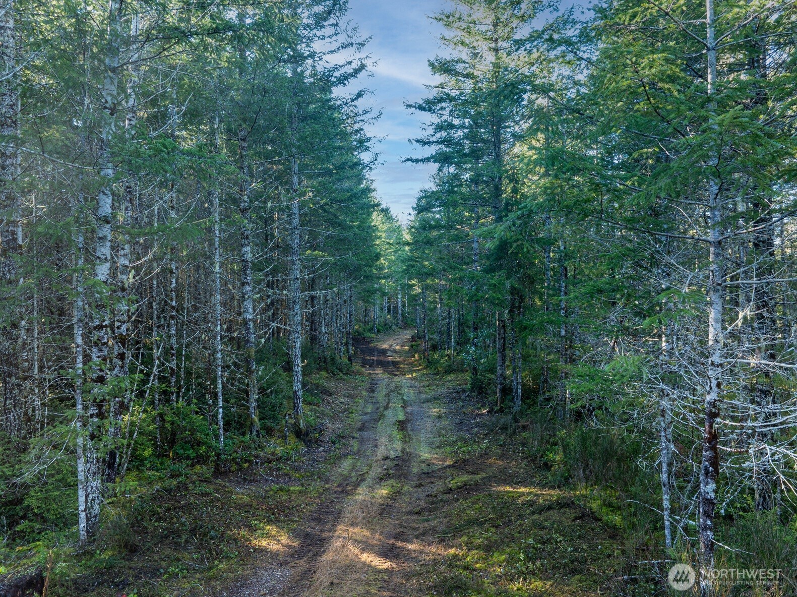 10 E Shetland Road Shelton WA 98584