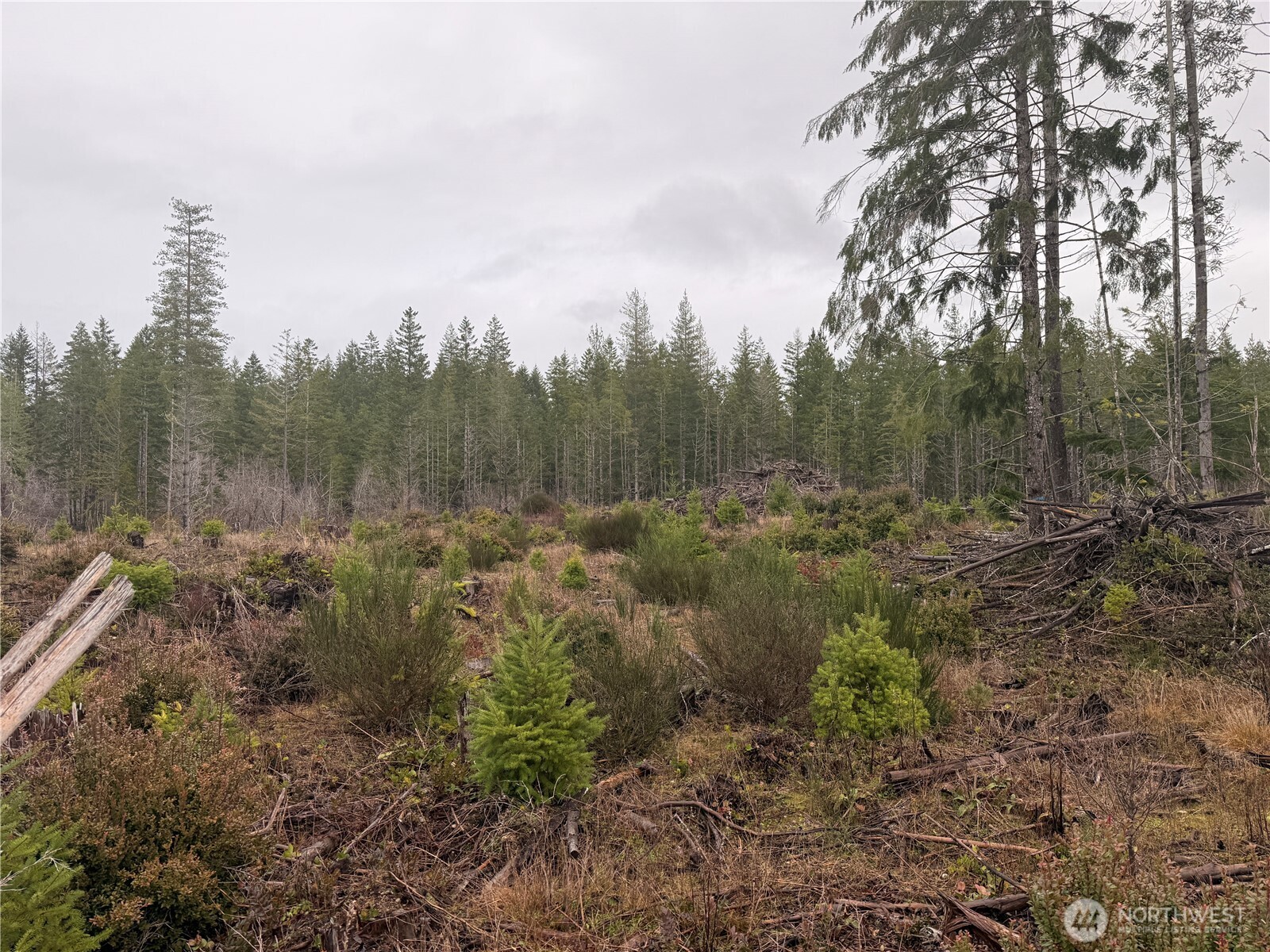 10 E Shetland Road Shelton WA 98584