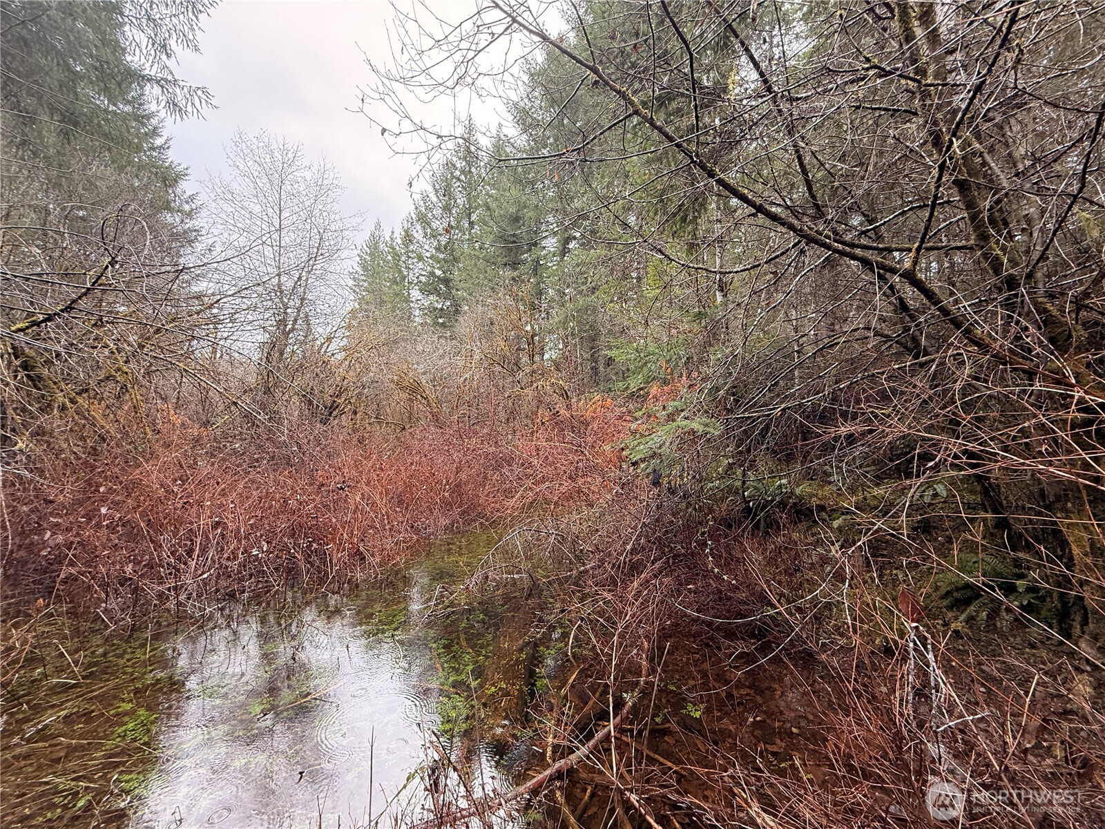 10 E Shetland Road Shelton WA 98584