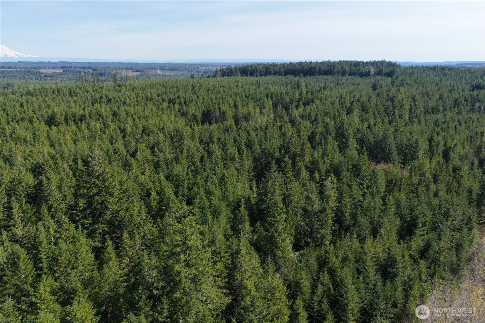 0 Romance Hill Road Belfair WA 98528