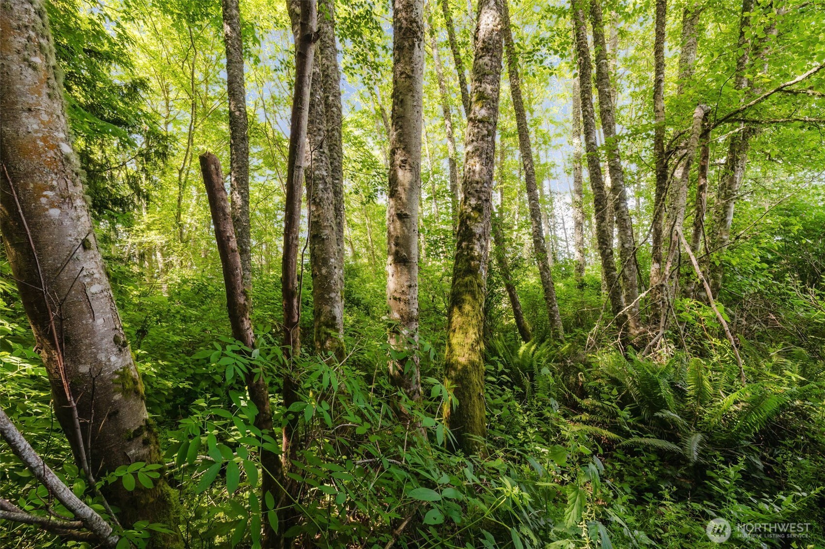 38743 Tinker Place NE Hansville WA 98340