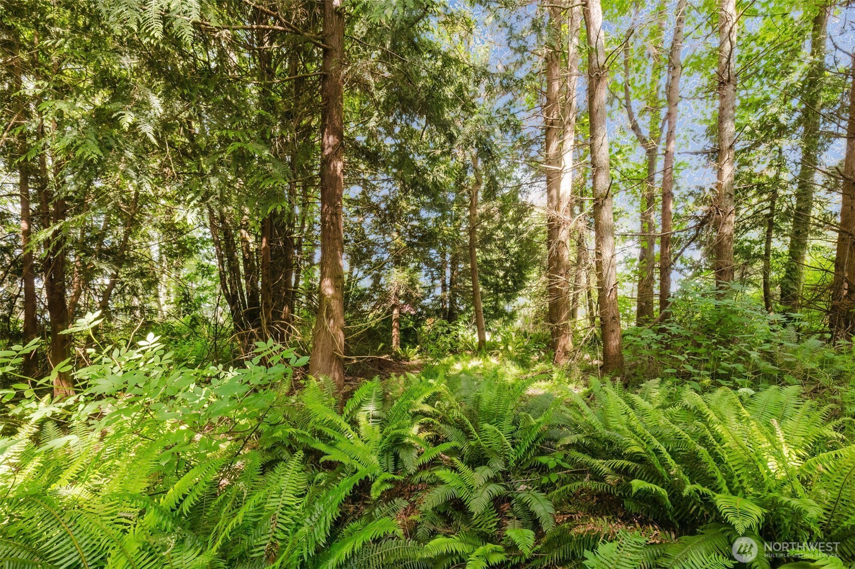 38743 Tinker Place NE Hansville WA 98340