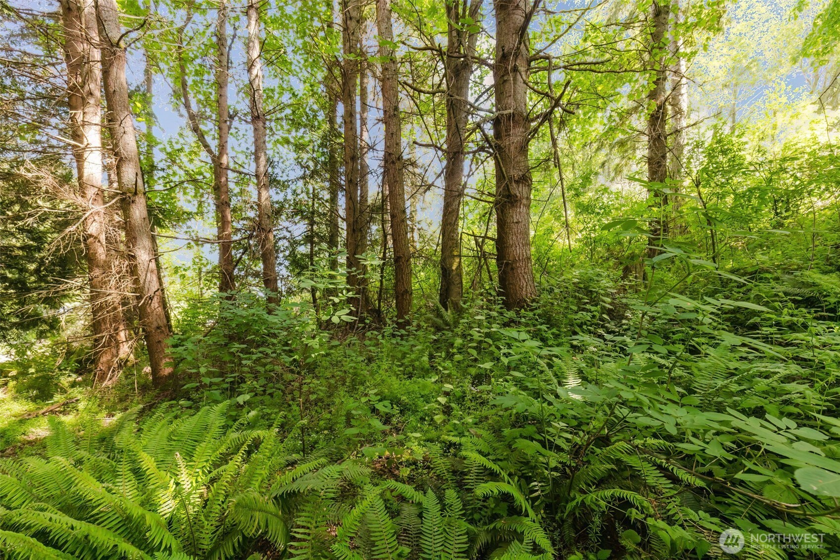 38743 Tinker Place NE Hansville WA 98340