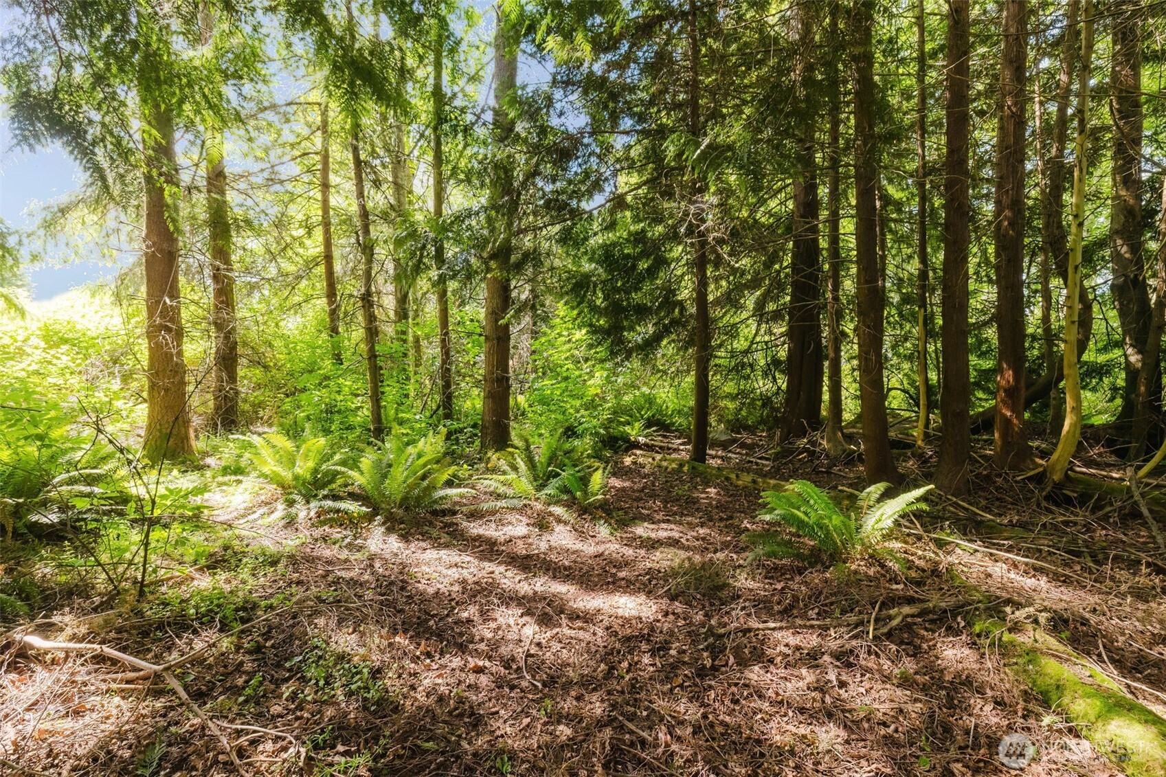 38743 Tinker Place NE Hansville WA 98340